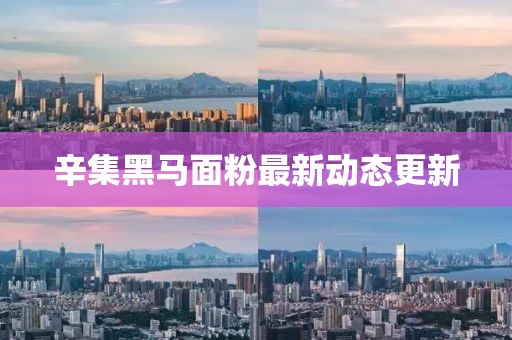辛集黑馬面粉最新動態(tài)更新