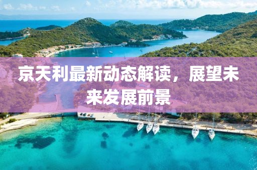 京天利最新動態(tài)解讀，展望未來發(fā)展前景
