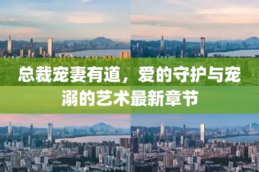 總裁寵妻有道，愛的守護(hù)與寵溺的藝術(shù)最新章節(jié)