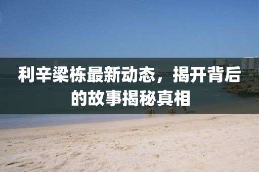 利辛梁棟最新動態(tài)，揭開背后的故事揭秘真相