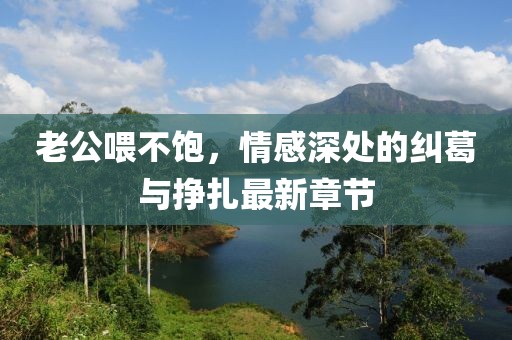 老公喂不飽，情感深處的糾葛與掙扎最新章節(jié)