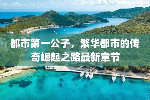 都市第一公子，繁華都市的傳奇崛起之路最新章節(jié)