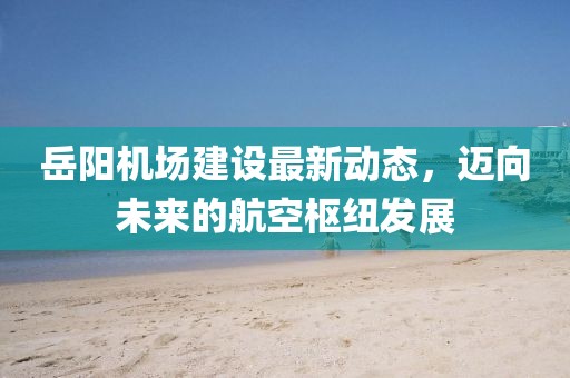 岳陽機(jī)場建設(shè)最新動態(tài)，邁向未來的航空樞紐發(fā)展