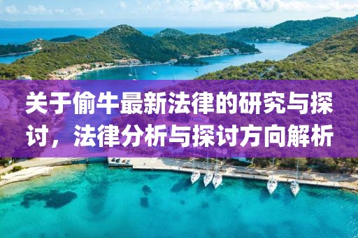 關(guān)于偷牛最新法律的研究與探討，法律分析與探討方向解析