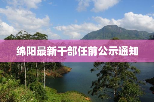 綿陽最新干部任前公示通知