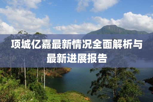 項城億嘉最新情況全面解析與最新進展報告