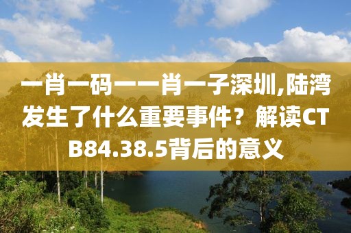 一肖一碼一一肖一子深圳,陸灣發(fā)生了什么重要事件？解讀CTB84.38.5背后的意義