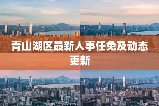 青山湖區(qū)最新人事任免及動(dòng)態(tài)更新