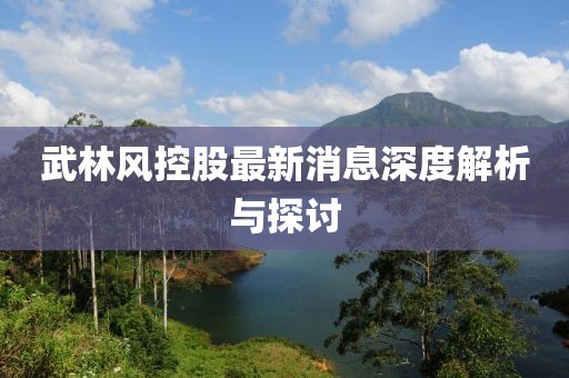 武林風控股最新消息深度解析與探討