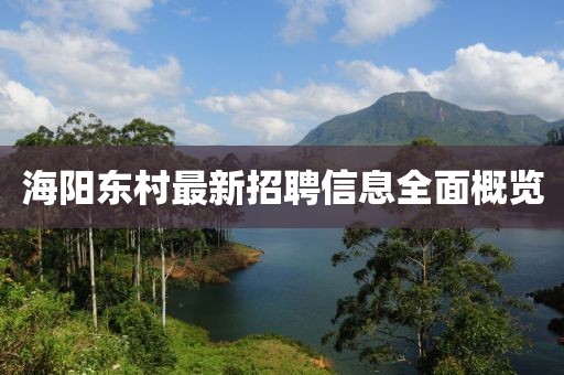海陽東村最新招聘信息全面概覽