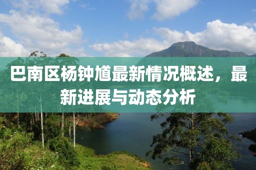 巴南區(qū)楊鐘馗最新情況概述，最新進展與動態(tài)分析
