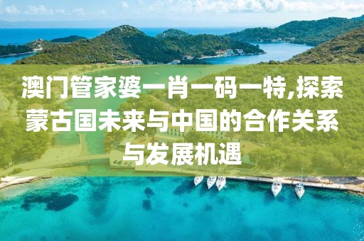 澳門管家婆一肖一碼一特,探索蒙古國未來與中國的合作關(guān)系與發(fā)展機(jī)遇