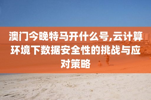 澳門(mén)今晚特馬開(kāi)什么號(hào),云計(jì)算環(huán)境下數(shù)據(jù)安全性的挑戰(zhàn)與應(yīng)對(duì)策略