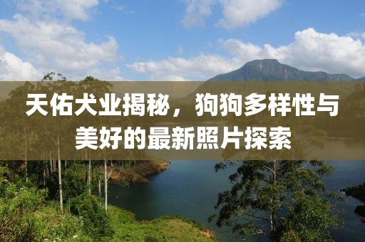 天佑犬業(yè)揭秘，狗狗多樣性與美好的最新照片探索