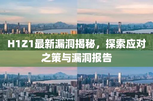 H1Z1最新漏洞揭秘，探索應(yīng)對(duì)之策與漏洞報(bào)告