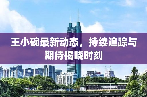 王小碗最新動態(tài)，持續(xù)追蹤與期待揭曉時(shí)刻