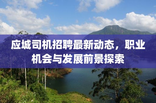 應(yīng)城司機招聘最新動態(tài)，職業(yè)機會與發(fā)展前景探索