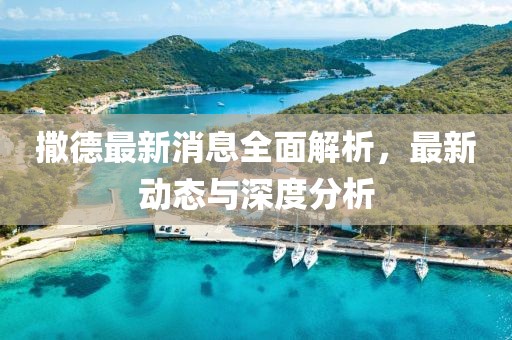 撒德最新消息全面解析，最新動(dòng)態(tài)與深度分析