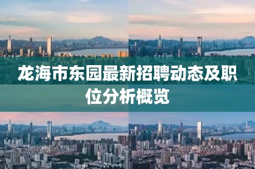 龍海市東園最新招聘動態(tài)及職位分析概覽
