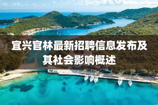 宜興官林最新招聘信息發(fā)布及其社會影響概述