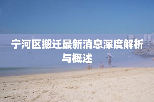 寧河區(qū)搬遷最新消息深度解析與概述