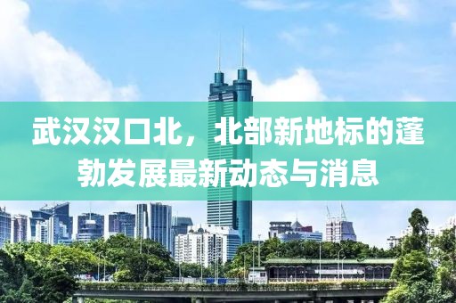 武漢漢口北，北部新地標(biāo)的蓬勃發(fā)展最新動態(tài)與消息