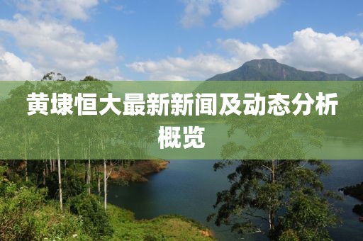 黃埭恒大最新新聞及動(dòng)態(tài)分析概覽
