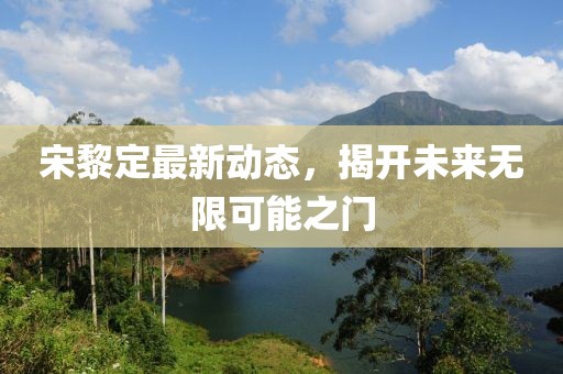 宋黎定最新動態(tài)，揭開未來無限可能之門