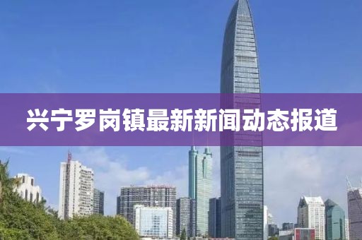 興寧羅崗鎮(zhèn)最新新聞動(dòng)態(tài)報(bào)道