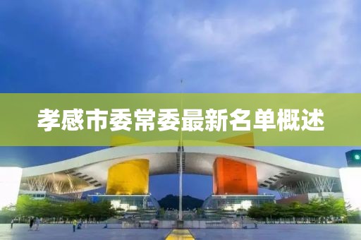 孝感市委常委最新名單概述