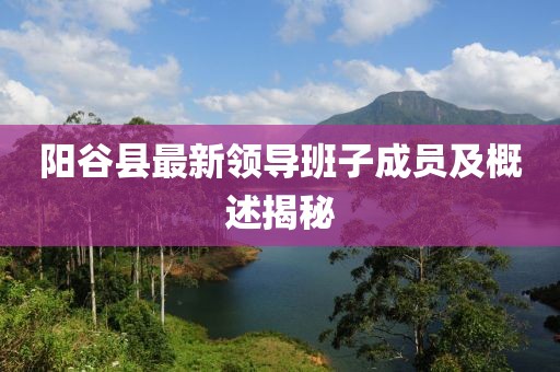 陽(yáng)谷縣最新領(lǐng)導(dǎo)班子成員及概述揭秘