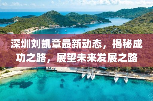 深圳劉凱章最新動態(tài)，揭秘成功之路，展望未來發(fā)展之路