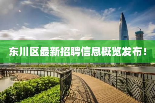 東川區(qū)最新招聘信息概覽發(fā)布！