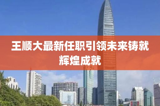 王順大最新任職引領(lǐng)未來(lái)鑄就輝煌成就