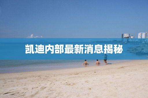 凱迪內(nèi)部最新消息揭秘