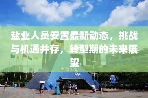 鹽業(yè)人員安置最新動態(tài)，挑戰(zhàn)與機(jī)遇并存，轉(zhuǎn)型期的未來展望