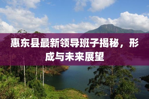 惠東縣最新領(lǐng)導(dǎo)班子揭秘，形成與未來展望