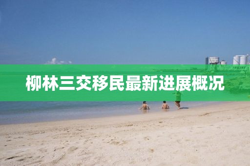 柳林三交移民最新進展概況