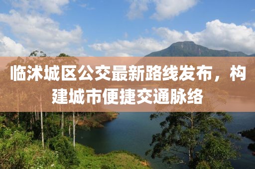 臨沭城區(qū)公交最新路線發(fā)布，構建城市便捷交通脈絡