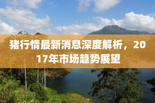 豬行情最新消息深度解析，2017年市場趨勢展望