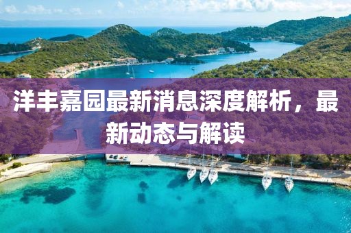 洋豐嘉園最新消息深度解析，最新動(dòng)態(tài)與解讀
