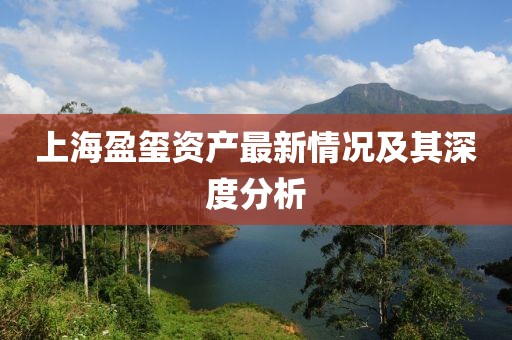 上海盈璽資產(chǎn)最新情況及其深度分析