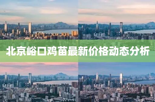 北京峪口雞苗最新價(jià)格動(dòng)態(tài)分析