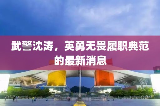 武警沈濤，英勇無畏履職典范的最新消息