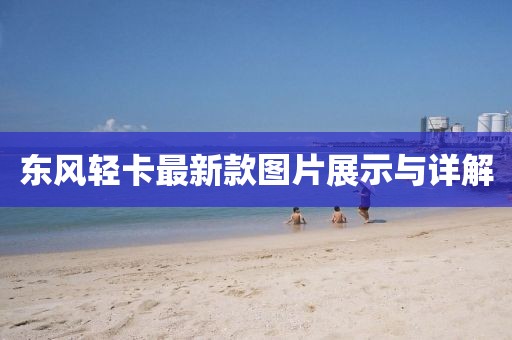 東風(fēng)輕卡最新款圖片展示與詳解