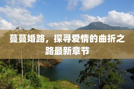 蔓蔓婚路，探尋愛情的曲折之路最新章節(jié)