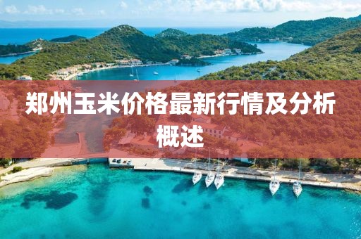 鄭州玉米價格最新行情及分析概述
