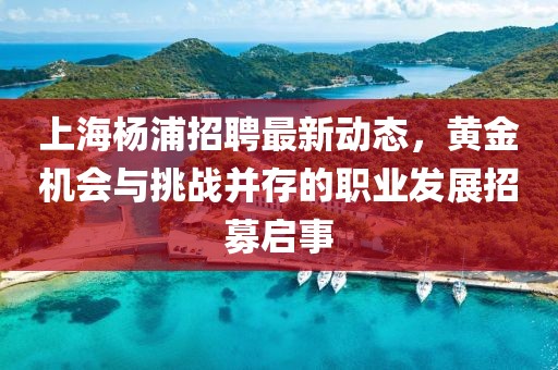 上海楊浦招聘最新動態(tài)，黃金機(jī)會與挑戰(zhàn)并存的職業(yè)發(fā)展招募啟事