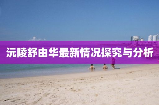沅陵舒由華最新情況探究與分析