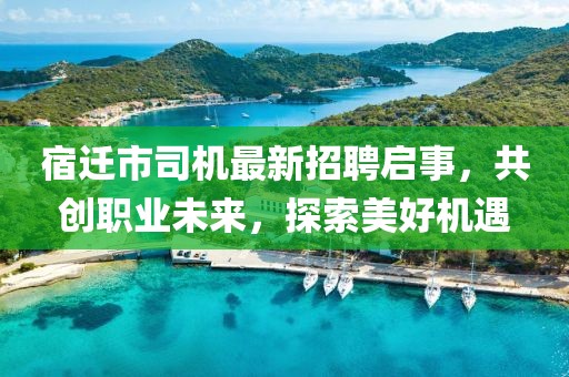 宿遷市司機(jī)最新招聘啟事，共創(chuàng)職業(yè)未來，探索美好機(jī)遇